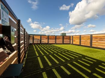Fenced dog park